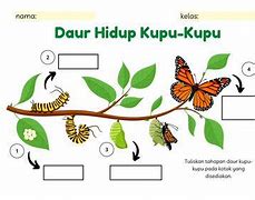 Kupu Kupu Musim Semi Topic 2 Bahasa Inggris Indonesia Pdf